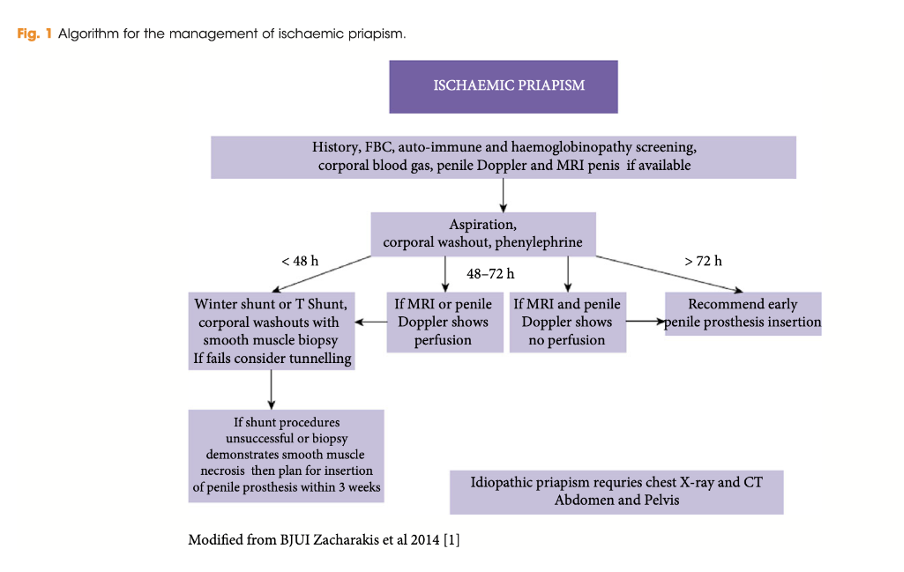 Algorithm for the management of ischaemic priapism